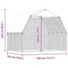 Dog Cages 2 pcs with Roof and Door Silver Galvanized Steel